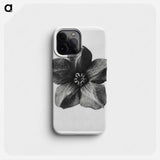 Cobea scandens (Mexican Ivy) calyx enlarged 4 times - カール ブロスフェルト Phone Case.