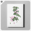 1-11_La-Botanique_canvas