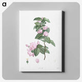 1-11_La-Botanique_canvas