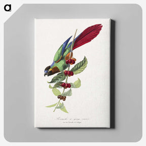 1-11_Le-Jardin-des-Plantes_canvas