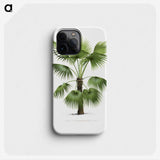 1-11_Les-Palmiers-Histoire-Iconographique_phone