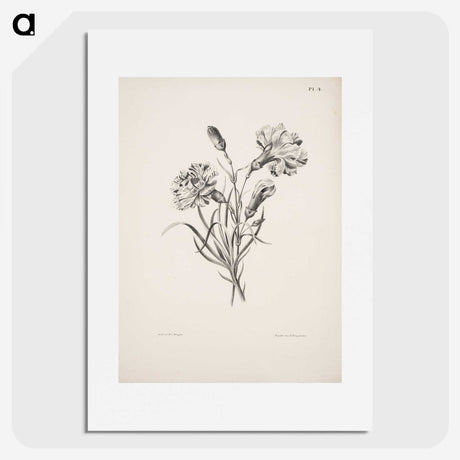 1-11_Magnus-von-Wright_picture
