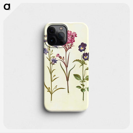 1-11_Maria-Sibylla-Merian_phone
