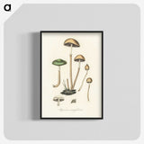 1-11_Medical-Botany_blk-crop