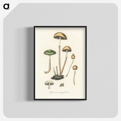1-11_Medical-Botany_blk-crop