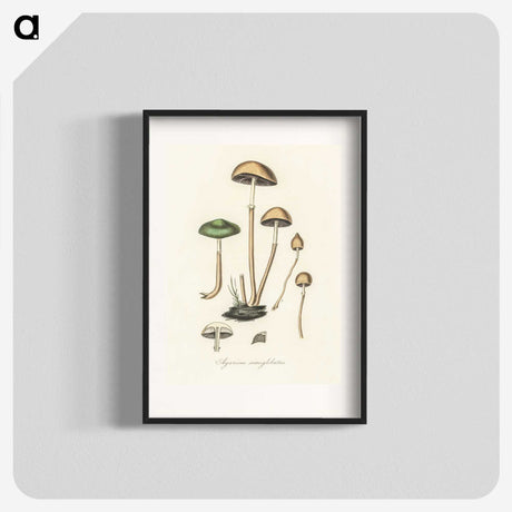 1-11_Medical-Botany_blk