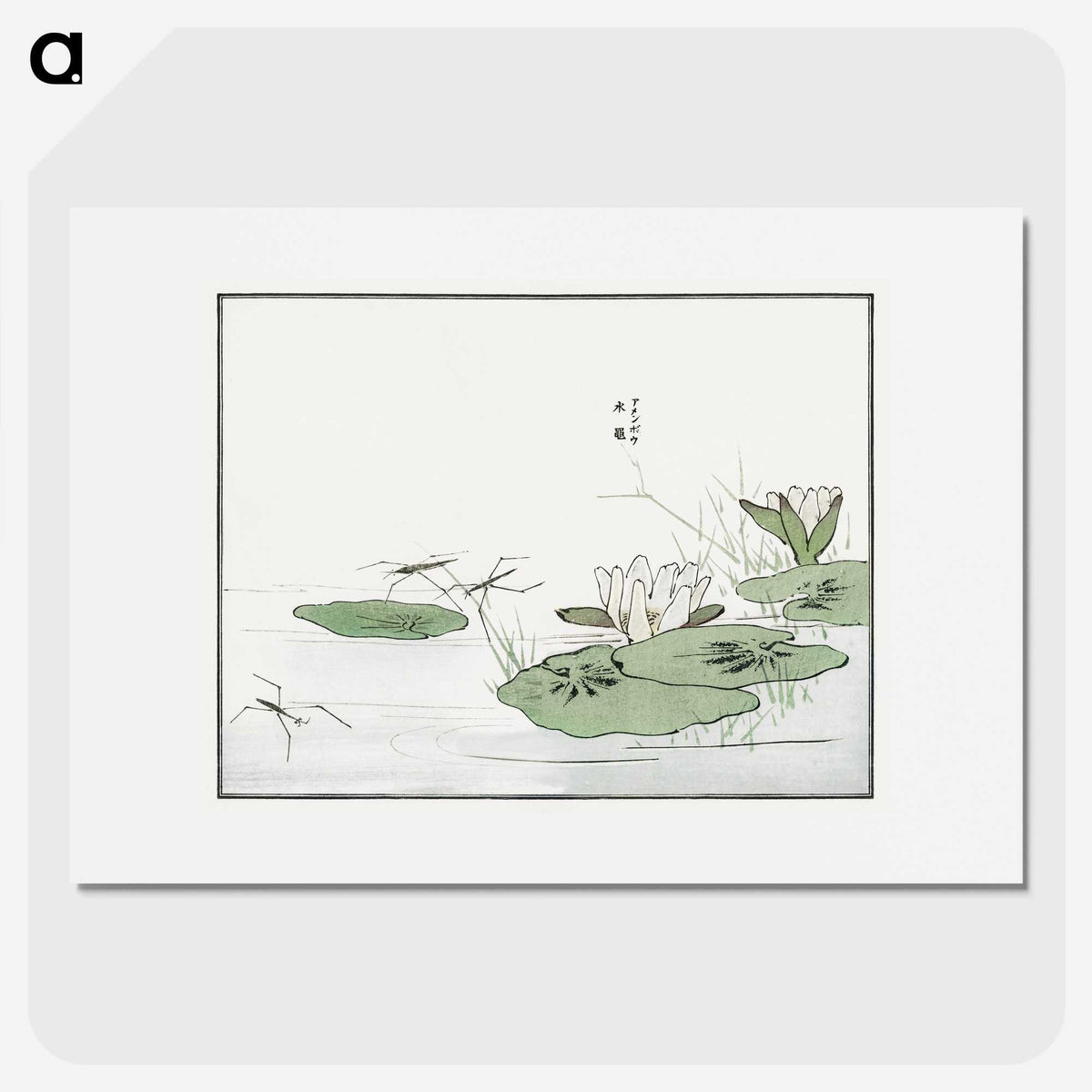1-11_Morimoto-Tokaku_picture