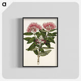 1-11_Native-Flowering-Plants-of-New-Zealand_blk-crop