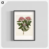 1-11_Native-Flowering-Plants-of-New-Zealand_blk