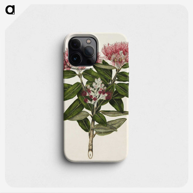 1-11_Native-Flowering-Plants-of-New-Zealand_phone