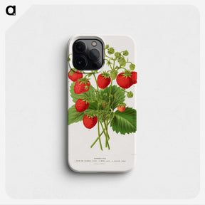 1-11_Nederlandsche-Flora-en-Pomona_phone