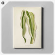 1-11_New-and-Rare-Beautiful-Leaved-Plants_canvas