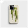1-11_New-and-Rare-Beautiful-Leaved-Plants_phone