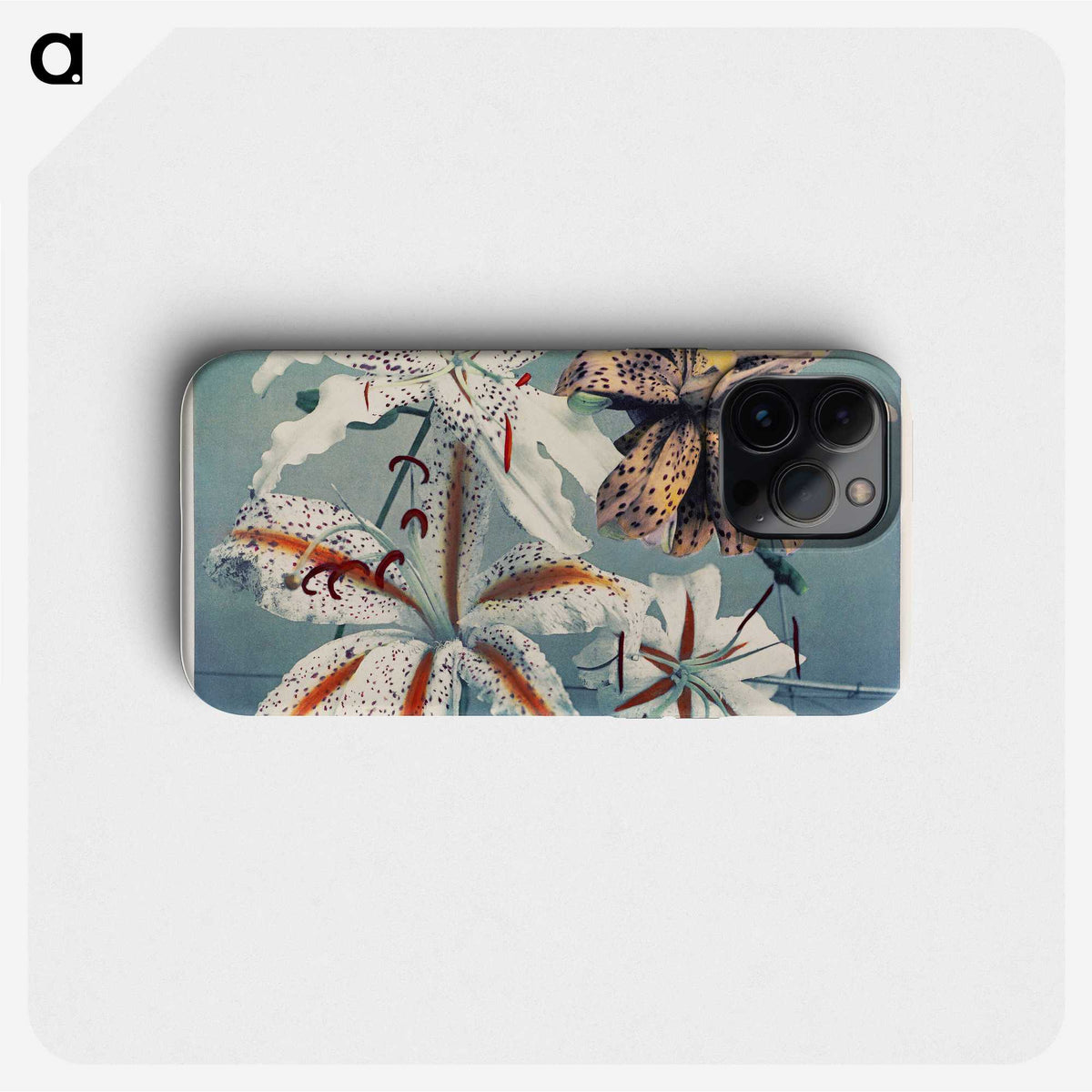 1-11_Ogawa-Kazumasa_phone