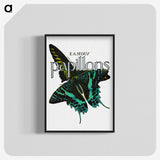1-11_Papillons_blk-crop