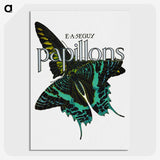1-11_Papillons_picture-crop