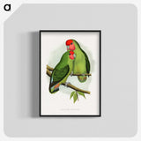 1-11_Parrots-in-Captivity_blk-crop