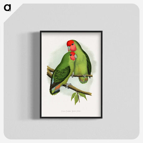 1-11_Parrots-in-Captivity_blk-crop