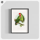 1-11_Parrots-in-Captivity_blk