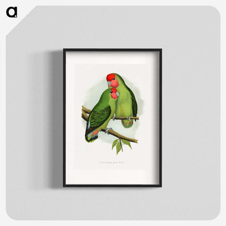 1-11_Parrots-in-Captivity_blk