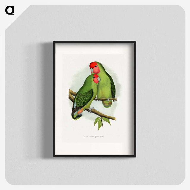 1-11_Parrots-in-Captivity_blk