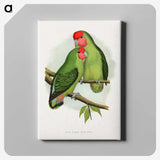 1-11_Parrots-in-Captivity_canvas