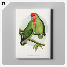 1-11_Parrots-in-Captivity_canvas