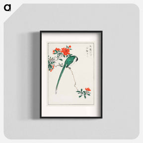 アートポスター-Japanese Long-tailed Tit and Pomegranate
 - 鳥類図鑑 Poster.