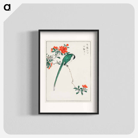 アートポスター-Japanese Long-tailed Tit and Pomegranate
 - 鳥類図鑑 Poster.