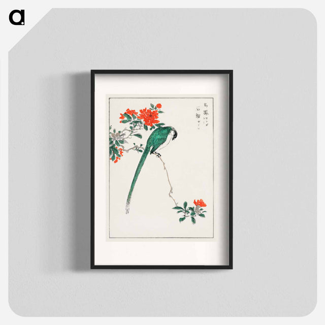 アートポスター-Japanese Long-tailed Tit and Pomegranate
 - 鳥類図鑑 Poster.