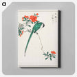 アートパネル-Japanese Long-tailed Tit and Pomegranate
 - 鳥類図鑑 Canvas.