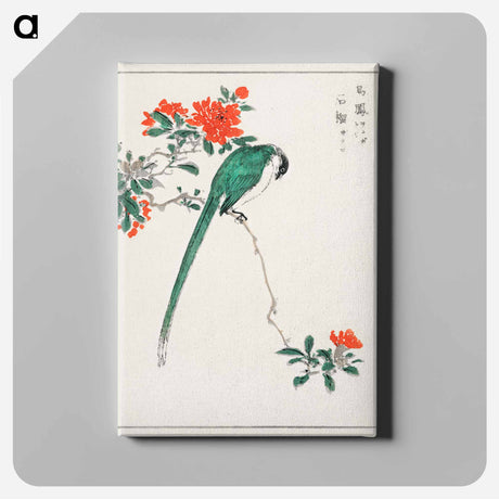 アートパネル-Japanese Long-tailed Tit and Pomegranate
 - 鳥類図鑑 Canvas.
