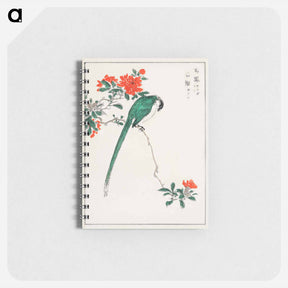 アートメモ帳-Japanese Long-tailed Tit and Pomegranate
 - 鳥類図鑑 Memo.