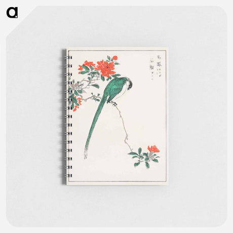 アートメモ帳-Japanese Long-tailed Tit and Pomegranate
 - 鳥類図鑑 Memo.