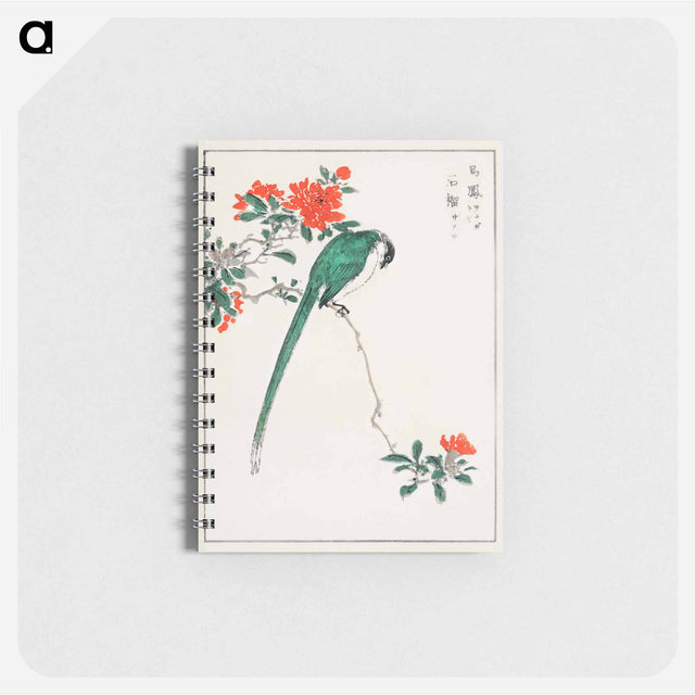 アートメモ帳-Japanese Long-tailed Tit and Pomegranate
 - 鳥類図鑑 Memo.