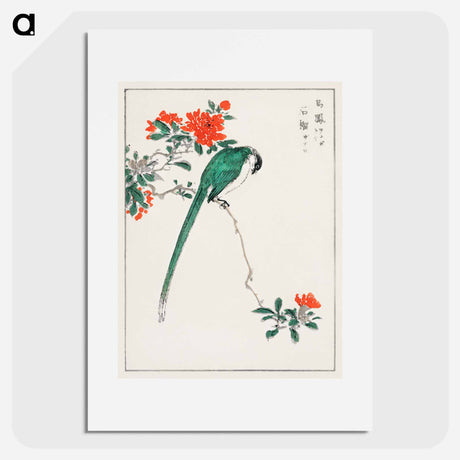 アートポスター-Japanese Long-tailed Tit and Pomegranate
 - 鳥類図鑑 Poster.