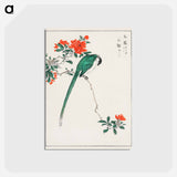 アートポストカード-Japanese Long-tailed Tit and Pomegranate
 - 鳥類図鑑 Postcard.