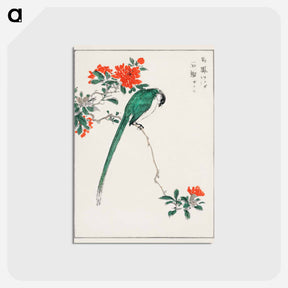 アートポストカード-Japanese Long-tailed Tit and Pomegranate
 - 鳥類図鑑 Postcard.