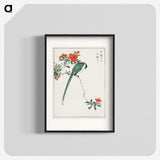 1-11_Pictorial-Monograph-of-Birds_blk