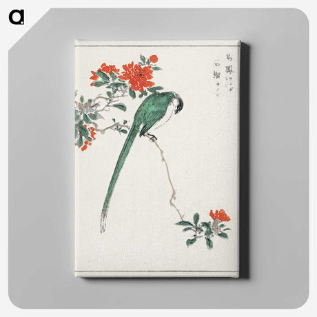 1-11_Pictorial-Monograph-of-Birds_canvas