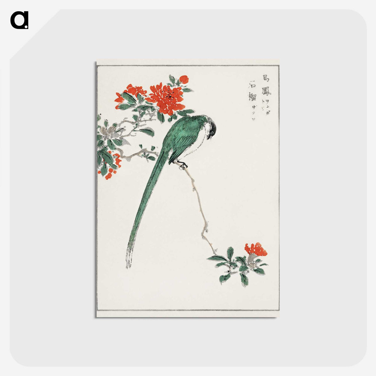 1-11_Pictorial-Monograph-of-Birds_postcard