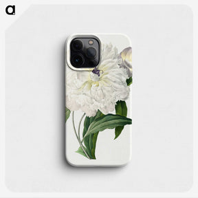 1-11_Pierre-Joseph-Redoute_phone