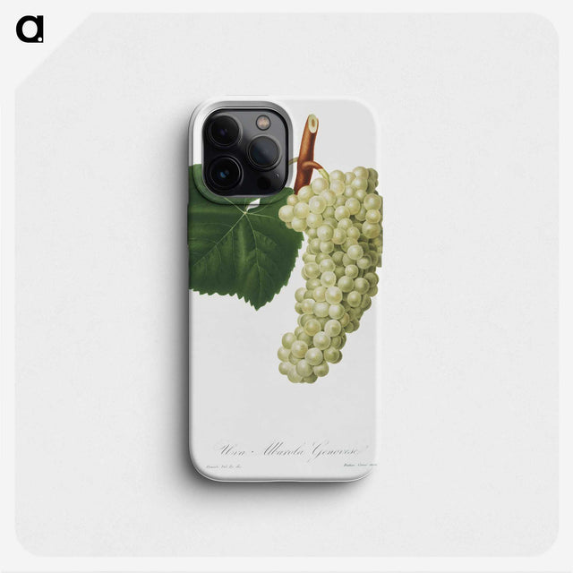 1-11_Pomona-Italiana_phone