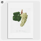1-11_Pomona-Italiana_picture
