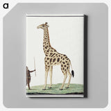 1-11_Robert-Jacob-Gordon_canvas