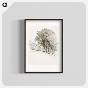 アートポスター-Study of Oak Trees at Lake Dunmore, Vermont - サミュエル コールマン Poster.