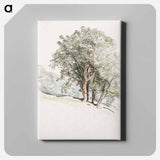 Study of Oak Trees at Lake Dunmore, Vermont - サミュエル コールマン Canvas.