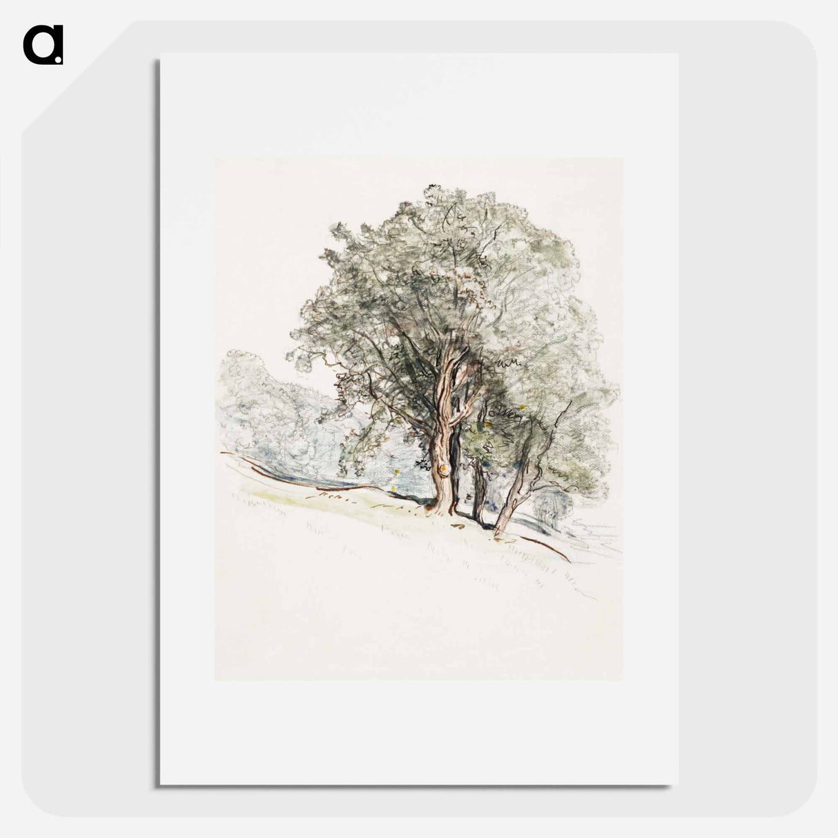 Study of Oak Trees at Lake Dunmore, Vermont - Samuel Coleman Poster.