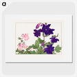 1-11_Seiyo-Soka-Zufu_picture