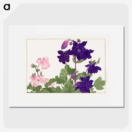 1-11_Seiyo-Soka-Zufu_picture